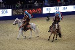 Quadrille - 00264
